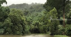 ขายบ้านทรงรีสอร์ท ใกล้เขา ติดลำธาร จังหวัดปราจีนบุรี