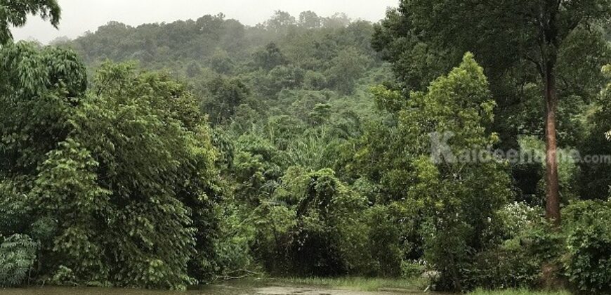 ขายบ้านทรงรีสอร์ท ใกล้เขา ติดลำธาร จังหวัดปราจีนบุรี