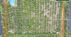 ที่ดิน พร้อมสิ่งปลูกสร้าง 9-3-60 ไร่ สามพราน นครปฐม