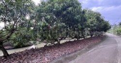 ที่ดิน พร้อมสิ่งปลูกสร้าง 9-3-60 ไร่ สามพราน นครปฐม