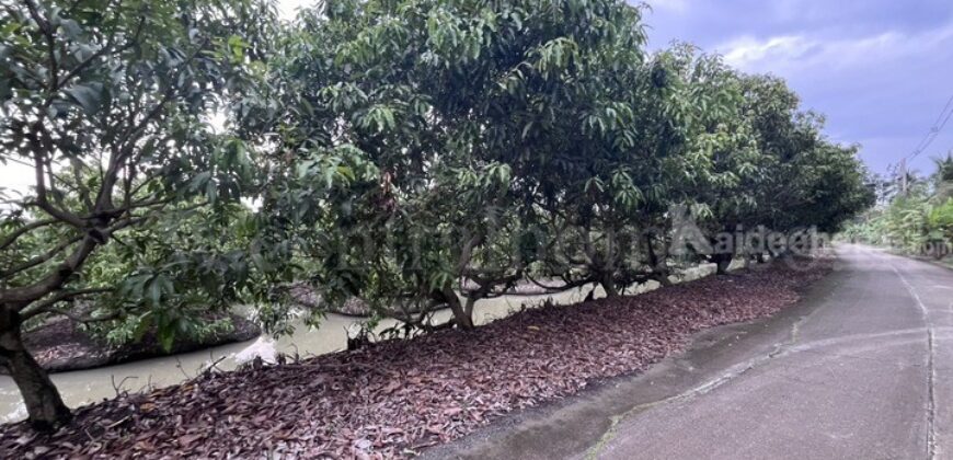 ที่ดิน พร้อมสิ่งปลูกสร้าง 9-3-60 ไร่ สามพราน นครปฐม