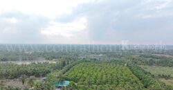 ที่ดิน พร้อมสิ่งปลูกสร้าง 9-3-60 ไร่ สามพราน นครปฐม