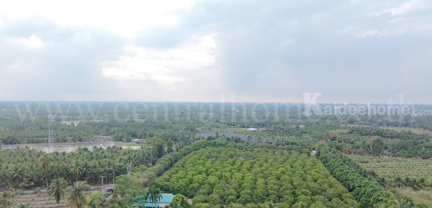 ที่ดิน พร้อมสิ่งปลูกสร้าง 9-3-60 ไร่ สามพราน นครปฐม