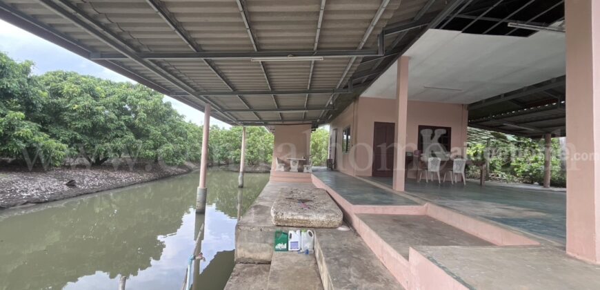 ที่ดิน พร้อมสิ่งปลูกสร้าง 9-3-60 ไร่ สามพราน นครปฐม