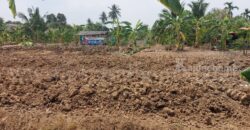 ที่ดินเปล่า 2 – 1 – 61 ไร่ ซอยบางรักใหญ่ 1 นนทบุรี ทำเลดี