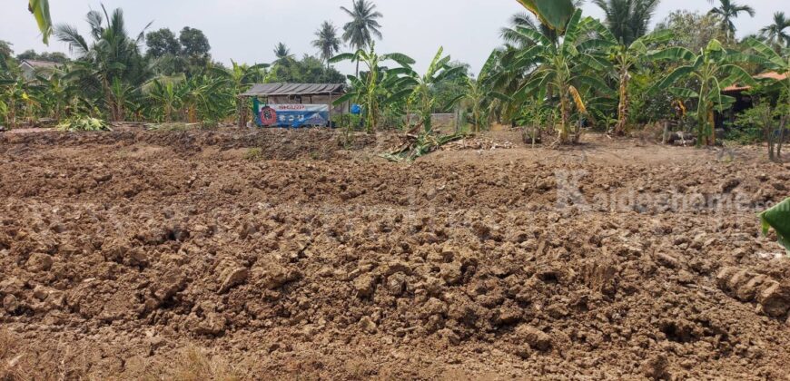 ที่ดินเปล่า 2 – 1 – 61 ไร่ ซอยบางรักใหญ่ 1 นนทบุรี ทำเลดี