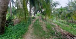 ที่ดินเปล่า 2 – 1 – 61 ไร่ ซอยบางรักใหญ่ 1 นนทบุรี ทำเลดี