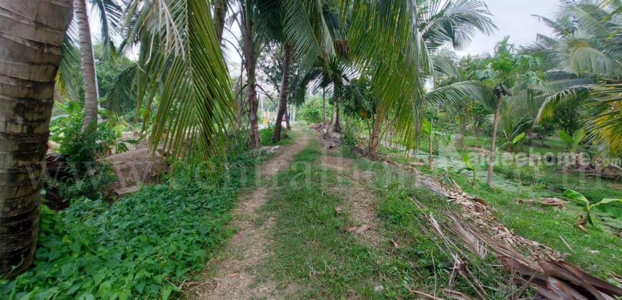 ที่ดินเปล่า 2 – 1 – 61 ไร่ ซอยบางรักใหญ่ 1 นนทบุรี ทำเลดี