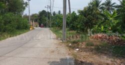 ที่ดินเปล่า 2 – 1 – 61 ไร่ ซอยบางรักใหญ่ 1 นนทบุรี ทำเลดี