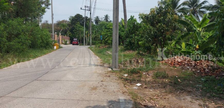 ที่ดินเปล่า 2 – 1 – 61 ไร่ ซอยบางรักใหญ่ 1 นนทบุรี ทำเลดี