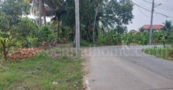 ที่ดินเปล่า 2 – 1 – 61 ไร่ ซอยบางรักใหญ่ 1 นนทบุรี ทำเลดี