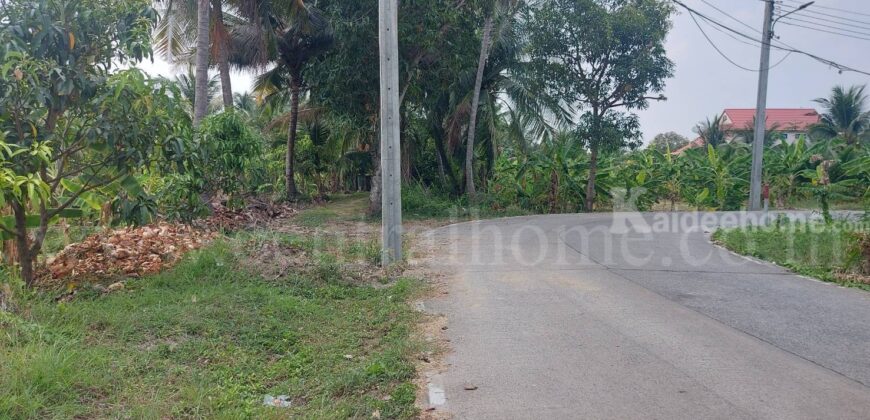 ที่ดินเปล่า 2 – 1 – 61 ไร่ ซอยบางรักใหญ่ 1 นนทบุรี ทำเลดี