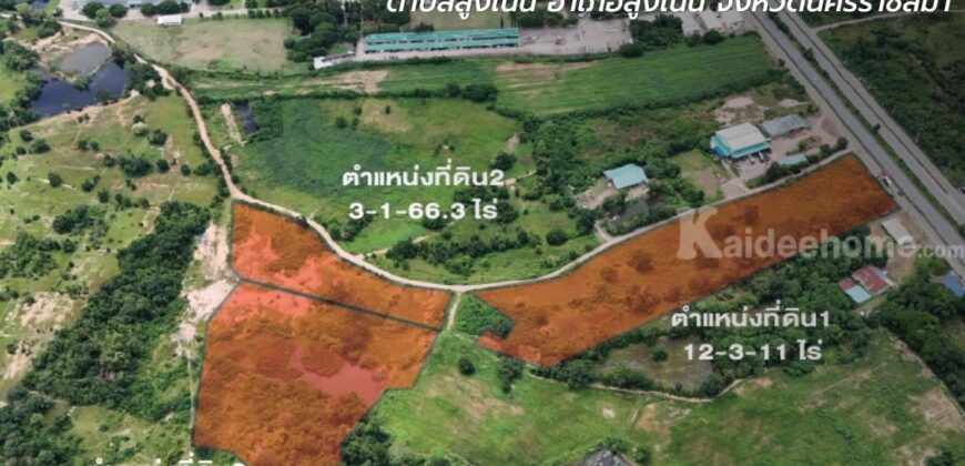 ที่ดิน 41-1-03.33 ไร่ ติดถนนมิตรภาพ
