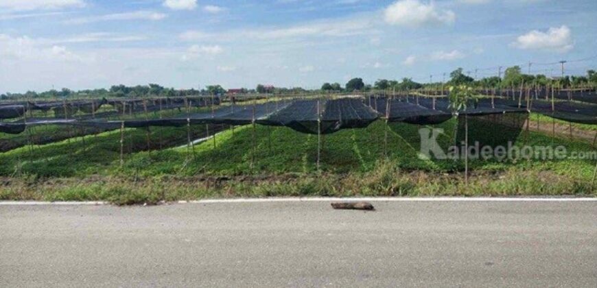 ขายที่ดิน 4 ไร่ 135 ตารางวา อ.ไทรน้อย จ.นนทบุรี หน้ากว้างติดถนนตัดใหม่ บรรยากาศดี โทร 065-365-4426