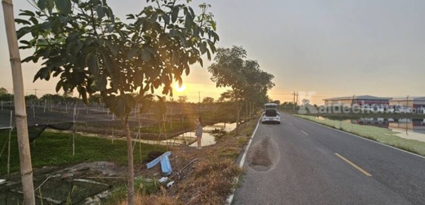 ขายที่ดิน 4 ไร่ 135 ตารางวา อ.ไทรน้อย จ.นนทบุรี หน้ากว้างติดถนนตัดใหม่ บรรยากาศดี โทร 065-365-4426