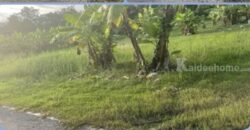 ขายที่ดิน ดอนเจริญ เมืองนครนายก 200 ตร.ว. ติดถนน มีน้ำ มีไฟ พร้อม ไลน์ korn6655