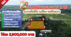 ขายที่ดินแปลงสวย ต.บางตีนเป็ด อ.เมือง จ.ฉะเชิงเทรา เนื้อที่ 3 ไร่ 9 ตร.ว. โทร 081-435-2828