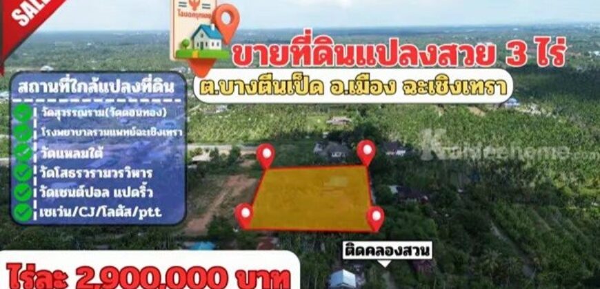 ขายที่ดินแปลงสวย ต.บางตีนเป็ด อ.เมือง จ.ฉะเชิงเทรา เนื้อที่ 3 ไร่ 9 ตร.ว. โทร 081-435-2828