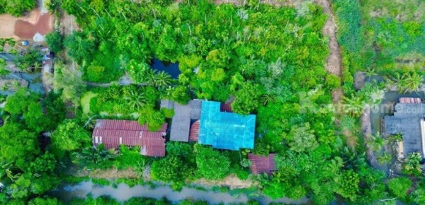 ขายที่ดินแปลงสวย ต.บางตีนเป็ด อ.เมือง จ.ฉะเชิงเทรา เนื้อที่ 3 ไร่ 9 ตร.ว. โทร 081-435-2828