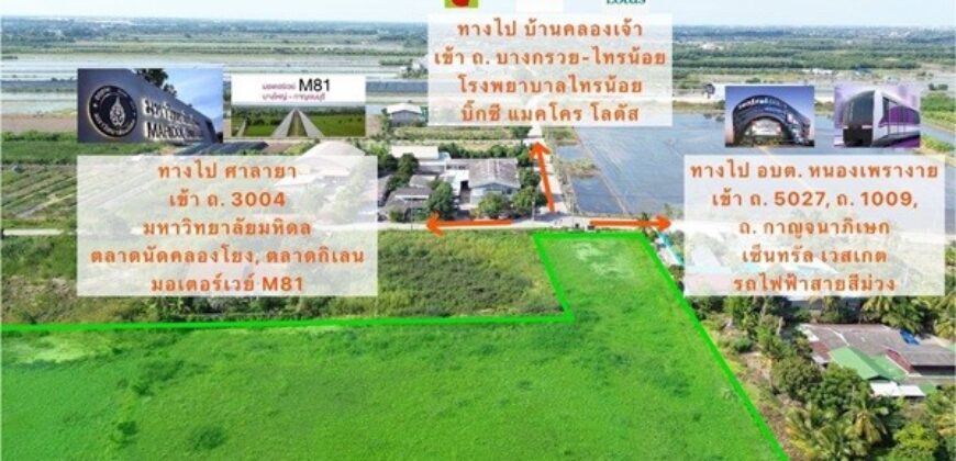 ราคานี้หาไม่ได้อีกแล้ว!! ขายที่ดิน ติดถนน ต.หนองเพรางาย อ.ไทรน้อย จ.นนทบุรี ใกล้มหิดล ศาลายา และแหล่งชุมชน Tel. 099-607-6116