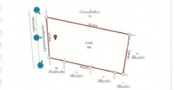 ขายที่ดินแปลงใหญ่ 16ไร่ 2งาน 77ตร.วา – ลาดหลุมแก้ว ปทุมธานี โทร 090-8982918 ราคาต่ำกว่าตลาด