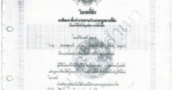 ขายที่ดินแปลงใหญ่ 16ไร่ 2งาน 77ตร.วา – ลาดหลุมแก้ว ปทุมธานี โทร 090-8982918 ราคาต่ำกว่าตลาด