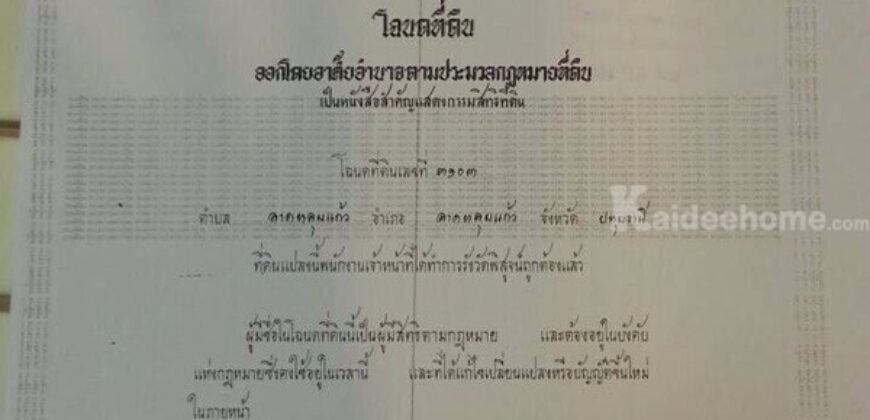 ขายที่ดินแปลงใหญ่ 16ไร่ 2งาน 77ตร.วา – ลาดหลุมแก้ว ปทุมธานี โทร 090-8982918 ราคาต่ำกว่าตลาด