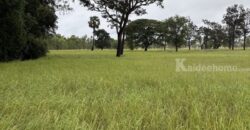 ด่วน ขายที่นา ราคาถูก อ.กันทรารมย์ จ.ศรีสะเกษ เนื้อที่ 12 ไร่ 2 งาน 62.6 ตร.ว. โทร 062-5982441 (คุณโย)