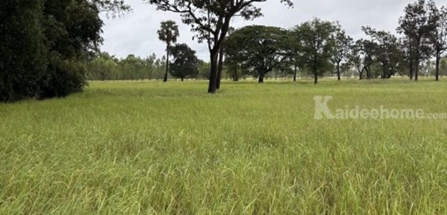 ด่วน ขายที่นา ราคาถูก อ.กันทรารมย์ จ.ศรีสะเกษ เนื้อที่ 12 ไร่ 2 งาน 62.6 ตร.ว. โทร 062-5982441 (คุณโย)