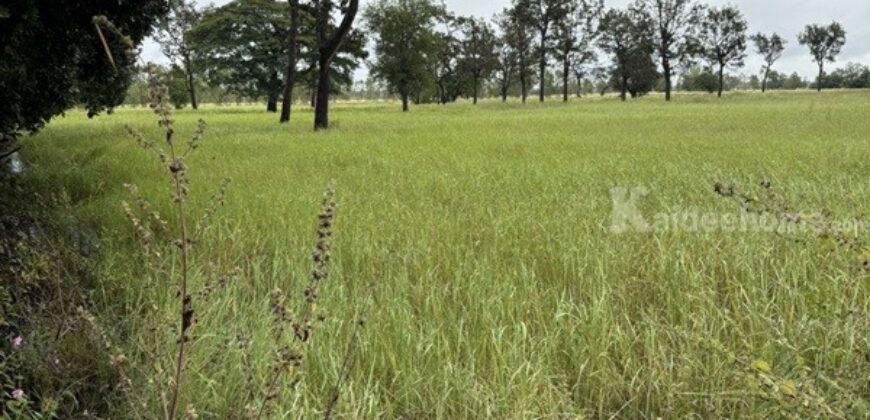 ด่วน ขายที่นา ราคาถูก อ.กันทรารมย์ จ.ศรีสะเกษ เนื้อที่ 12 ไร่ 2 งาน 62.6 ตร.ว. โทร 062-5982441 (คุณโย)