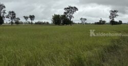 ด่วน ขายที่นา ราคาถูก อ.กันทรารมย์ จ.ศรีสะเกษ เนื้อที่ 12 ไร่ 2 งาน 62.6 ตร.ว. โทร 062-5982441 (คุณโย)