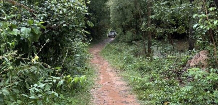 ด่วน ขายที่นา ราคาถูก อ.กันทรารมย์ จ.ศรีสะเกษ เนื้อที่ 12 ไร่ 2 งาน 62.6 ตร.ว. โทร 062-5982441 (คุณโย)