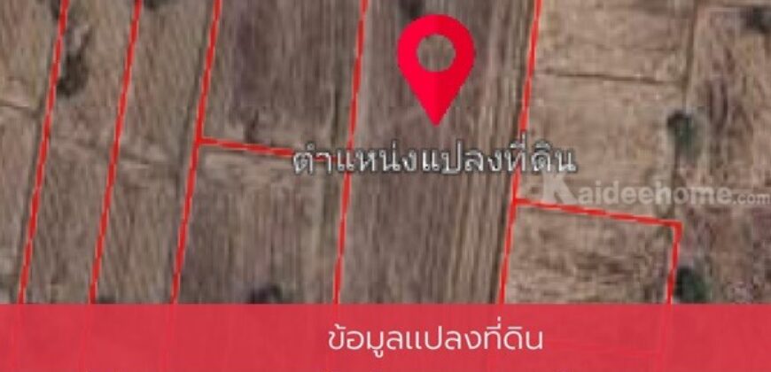 ด่วน ขายที่นา ราคาถูก อ.กันทรารมย์ จ.ศรีสะเกษ เนื้อที่ 12 ไร่ 2 งาน 62.6 ตร.ว. โทร 062-5982441 (คุณโย)