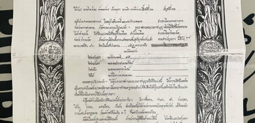 ขายด่วน ลดราคา อาคารพาณิชย์ 3 ชั้น อยู่หัวมุม ต.ในเมือง อ.เมืองร้อยเอ็ด ใกล้บึงพลาญชัย Tel. 0632897879