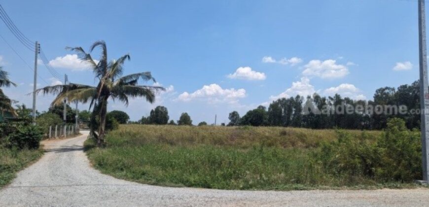 ขายที่ดินติดถนน 3 ด้าน 12-3-71 ไร่ ทำเลทอง ศุขประยูร – พนัสนิคม จ.ชลบุรี โทร 0818213624