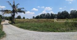 ขายที่ดินติดถนน 3 ด้าน 12-3-71 ไร่ ทำเลทอง ศุขประยูร – พนัสนิคม จ.ชลบุรี โทร 0818213624