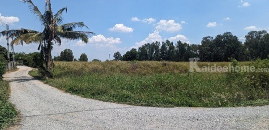 ขายที่ดินติดถนน 3 ด้าน 12-3-71 ไร่ ทำเลทอง ศุขประยูร – พนัสนิคม จ.ชลบุรี โทร 0818213624