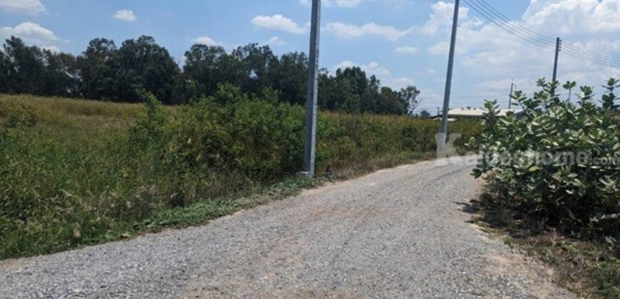 ขายที่ดินติดถนน 3 ด้าน 12-3-71 ไร่ ทำเลทอง ศุขประยูร – พนัสนิคม จ.ชลบุรี โทร 0818213624