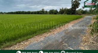 ที่ดิน 9-3-99.5 ไร่ ดอนโพธิ์ – สุพรรณบุรี มีผู้เช่า ทำเลดี