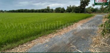 ที่ดิน 9-3-99.5 ไร่ ดอนโพธิ์ – สุพรรณบุรี มีผู้เช่า ทำเลดี