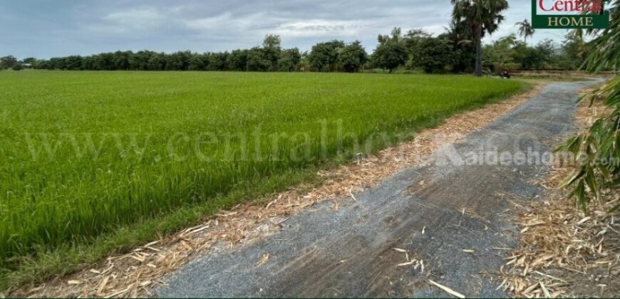 ที่ดิน 9-3-99.5 ไร่ ดอนโพธิ์ – สุพรรณบุรี มีผู้เช่า ทำเลดี