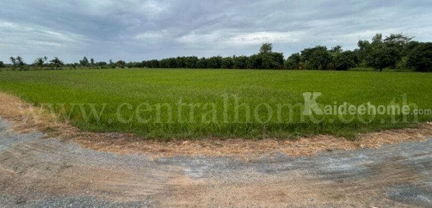 ที่ดิน 9-3-99.5 ไร่ ดอนโพธิ์ – สุพรรณบุรี มีผู้เช่า ทำเลดี