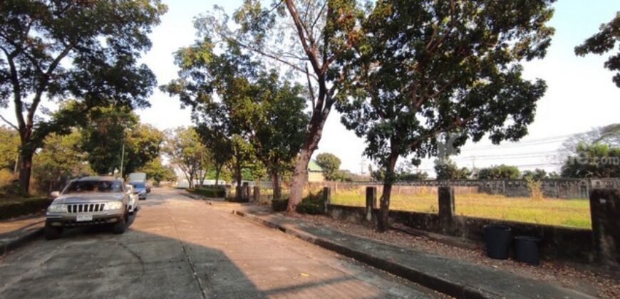 – ประกาศขาย ที่ดิน ที่ดินหมู่บ้านเปล่า รามอินทรา ม.ปัญญาอินทราเฟส 9 30780000 บาท. 1 Rai 1 งาน 13 ตร.วา ไม่ไกลจาก Fashion Island, สนามกอล์ฟปัญญาอินทรา เดินทางง่าย