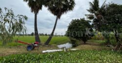 ที่ดิน 9-3-99.5 ไร่ ดอนโพธิ์ – สุพรรณบุรี มีผู้เช่า ทำเลดี