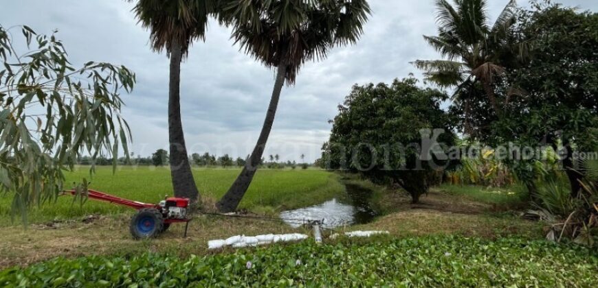 ที่ดิน 9-3-99.5 ไร่ ดอนโพธิ์ – สุพรรณบุรี มีผู้เช่า ทำเลดี