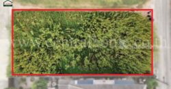 ที่ดิน ถมแล้ว บางบัวทอง นนทบุรี ติดถนนทั้งด้านหน้าและหลัง