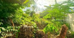 ที่ดินเปล่า 48 ตร.วา ซอยวัดบางปลา เทพารักษ์ – สมุทรปราการ