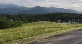 ขายที่บนเนินเขาใหญ่ โป่งตาลอง ปากช่อง ที่สูงบนเนิน 3.5 ไร่ วิวเขาใหญ่สวย ชัดมาก อากาศบริสุทธิ์ดีมาก ลมดีเย็นสบาย เดินทางสะดวก ใกล้เส้น 3052 ทอสคาน่า Toscana พระตำหนักทิพย์พิมาน 087-9074045