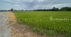 ที่ดิน 9-3-99.5 ไร่ ดอนโพธิ์ – สุพรรณบุรี มีผู้เช่า ทำเลดี