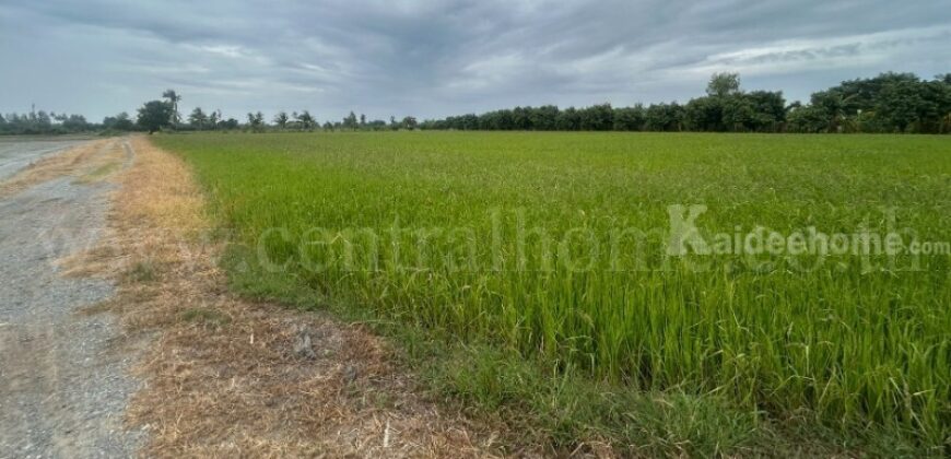 ที่ดิน 9-3-99.5 ไร่ ดอนโพธิ์ – สุพรรณบุรี มีผู้เช่า ทำเลดี